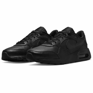 NIKE ナイキ スニーカー カジュアルシューズ エアマックス SC LEA メンズ 男性用 DH9636 001