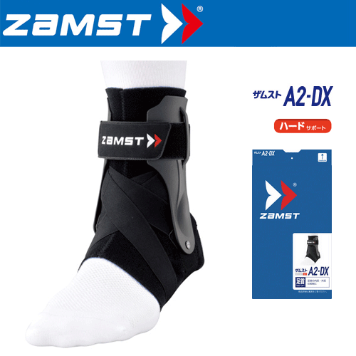 a2-dx-01.gif a2-dx-01.gif