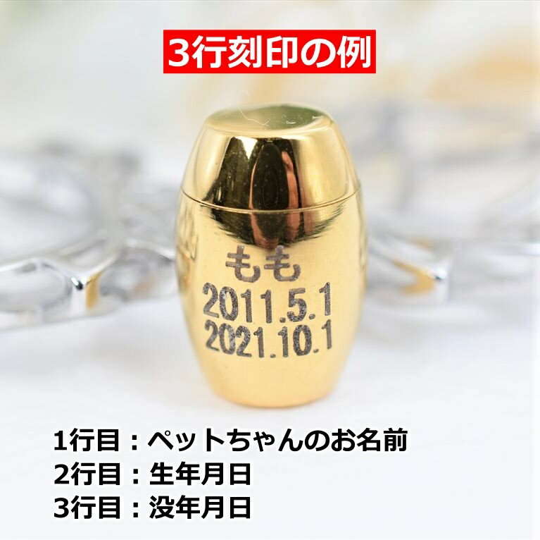 ����ڥ����� ϡ�βַ� �� ��3.7cm ��2.5cm ���ꥢ��ڥ����� ��� ̾���� �䳥 ʬ�� Ǽ�� ������� ���� �긵������ ���� �� �� ���ƥ�쥹 ������� ����ȯ��