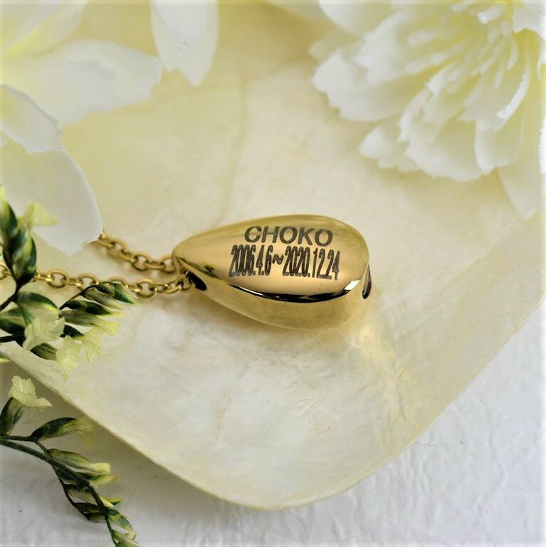 ����ڥ����� ��������4 ��������ץ��� �ڥåȥ��ꥢ�� �ڥå�ʩ�� �ڥåȰ������ ʬ�� Ǽ�� ���� ���� �긵������ �޷� �ο��� ������������꡼ ����ȯ�� ����