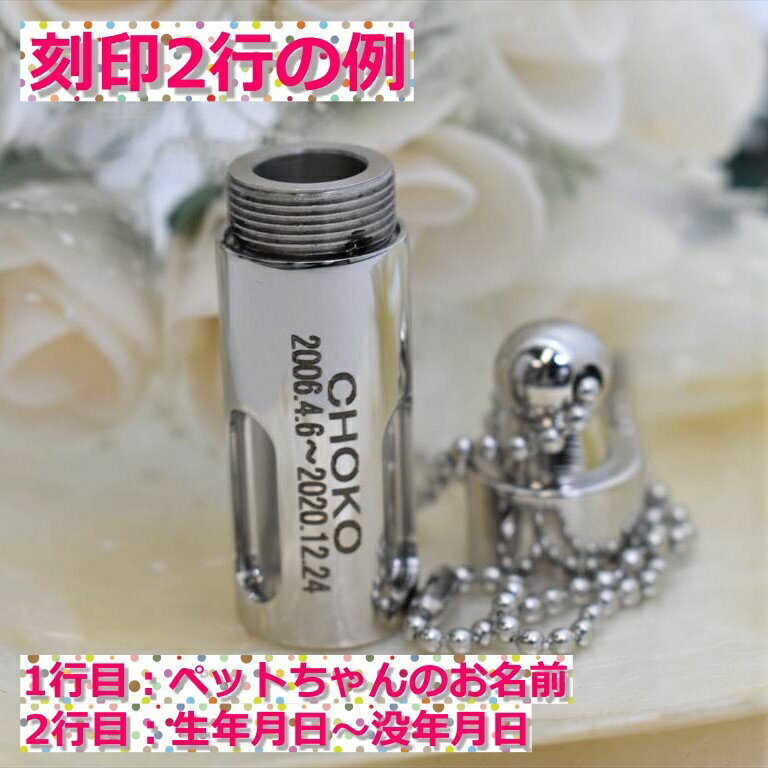 ���̵�� ����ڥ����� ��Ȥ������� �¿� ������ץ��� ��������ۥ���� ������� �ڥå�ʬ�� ���� �ڥå��� �ڥåȰ�� ʩ�� �����Ǽ ���� ���ץ��뷿�ͥå��쥹 ���� ���� �ߥ˹��� �ɿ� ���ƥ�쥹 �ɿ� ����ͥå��쥹ȩ��ͥ���� ̾����