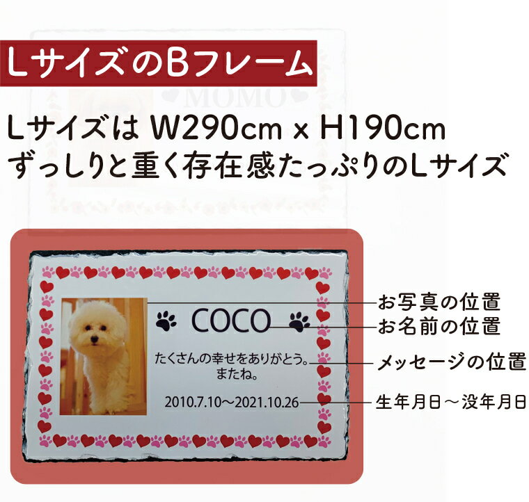 ���� L������ �̿�ʸ��UV���� ���ꥢ��ե��ȥץ졼�� �ڥåȰ��� ̾���� ��ʩ�� ��ǰ�� �ڥåȥ��ꥢ�륰�å� �ο� �� ����