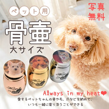 写真無料 ペットミニ骨壺 大 ハートalways in my heart 4cm x 3cm メモリアル 葬式用品 遺灰 分骨 遺骨入れ ステンレス製 ステンレス 肌に優しい 仏壇 お盆