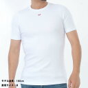 【サマーセール☆全品P5倍&最大15000円スペシャルクーポン15日迄】DIESEL ディーゼル A14950 0EJAI 100 D-Ribber-N Tシャツ 半袖 メンズ