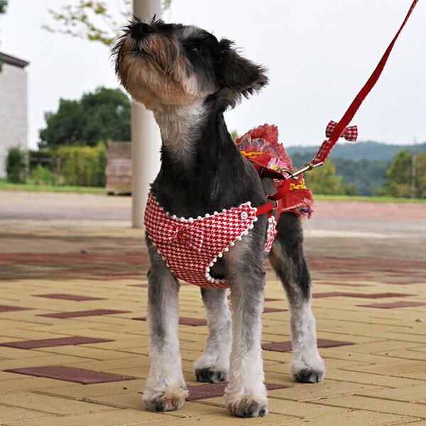 リボン付チェック ハーネスリード 2号 4号 (S・L) レッド 超小型犬〜小型犬 犬用 千鳥柄 胴輪 引き紐