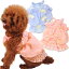 Air Balloon CANDY キャミソール S L LL ブルー 超小型犬〜小型犬用 犬服 XL 2L