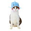 ペティオ 猫用 変身ほっかむり サメ コスチューム コスプレ 猫服