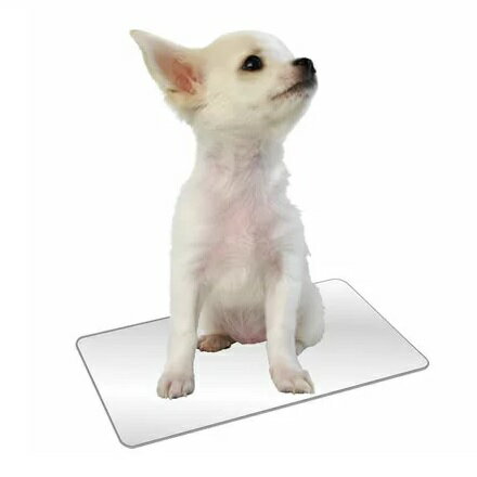 マルカン ひんやりクールアルミプレート S 暑さ対策 夏用品 犬・猫用 超小型犬 クールマット