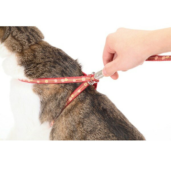 �ڥƥ��� ����åȥϡ��ͥ� �ɥå� �ϡ��ͥ��꡼�� �֥롼������� ǭ����ƹ���հ��Ҥ�