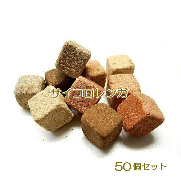 コロンと可愛いサイコロレンガ(合計50個)　ミニレンガキューブブリック　サイコロレンガ小　10個×5セット(50個) 花壇 庭づくり 送料無料のサムネイル