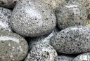 和風砂利 ごましお (20kg)5袋セット【送料無料】