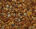 乾燥樹脂舗装砂利 黄金 (20kg)5袋セット 3-6mm【送料無料】