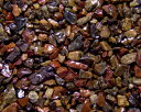 乾燥樹脂舗装砂利 大納言 (20kg)5袋セット 2-5mm【送料無料】