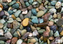 和風砂利 青海 (20kg)10袋セット【送料無料】