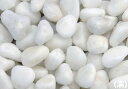 和風砂利 白仙 (20kg)10袋セット【送料無料】
