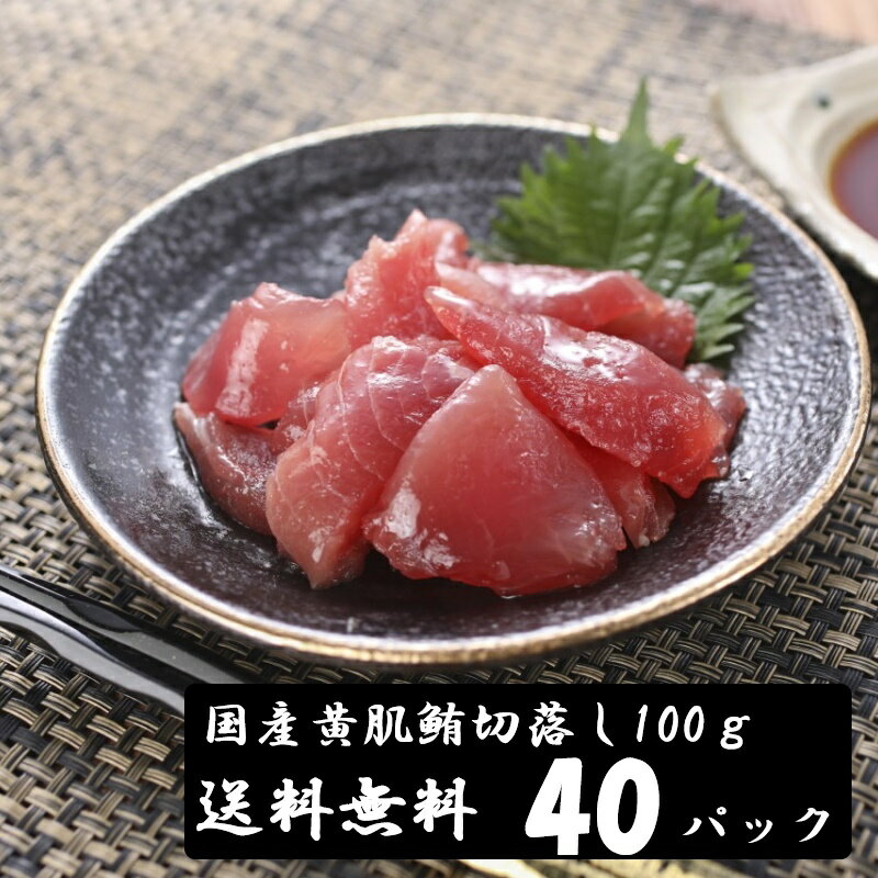 （送料無料）国産マグロ切落し（上）　100g×40パックセット　キハダマグロ　配送不可地域あり　きはだまぐろ　代引き不可