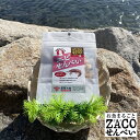 (送料無料)えびせんべい ハーフサイズ 1袋 宮原水産 内容量10g 減塩 自然食品 あっさり 腎臓病食品 無添加
