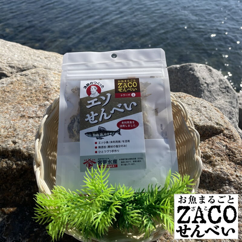 (送料無料)エソせんべい ハーフサイズ 1袋 宮原水産 内容量10g 減塩 自然食品 あっさり 腎臓病食品 無添加