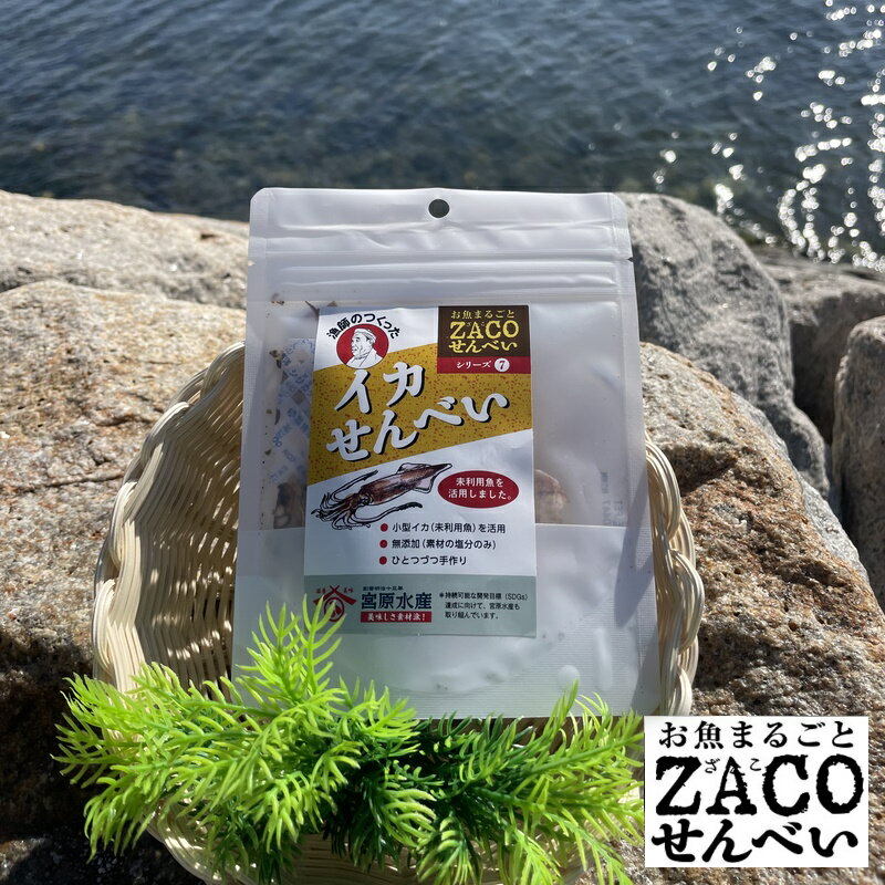 (送料無料)イカせんべい ハーフサイズ 1袋 宮原水産 内容量10g 減塩 自然食品 あっさり 腎臓病食品 無添加