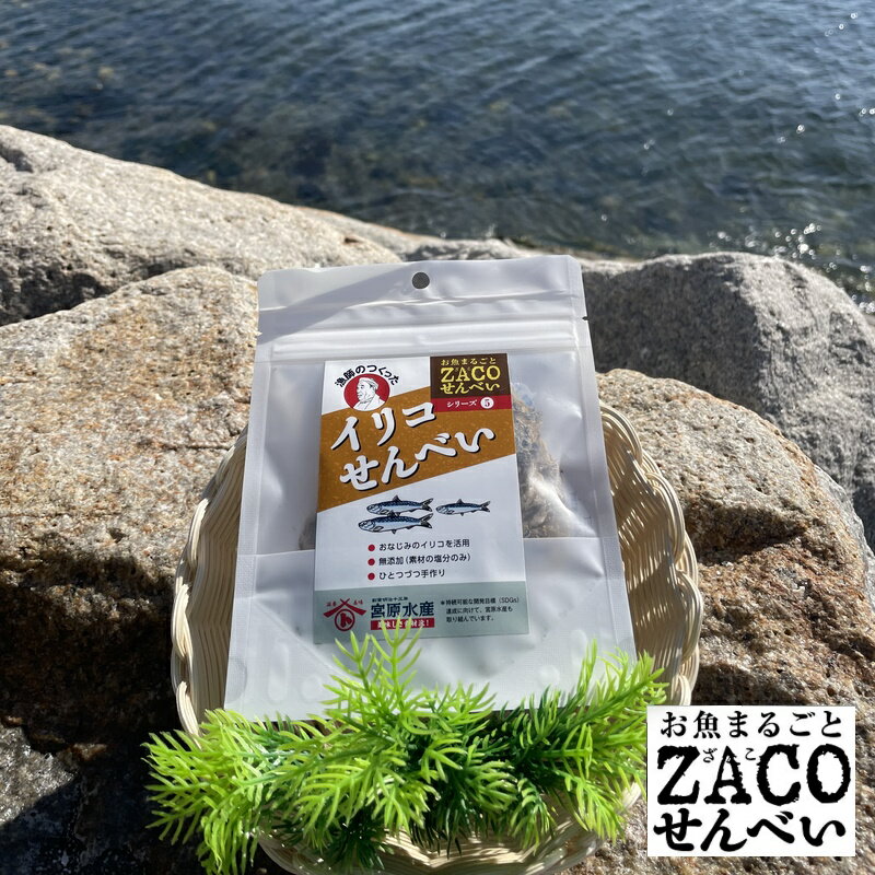 (送料無料)イリコせんべい ハーフサイズ 1袋 宮原水産 広島産 内容量10g 減塩 自然食品 あっさり 腎臓病食品 無添加