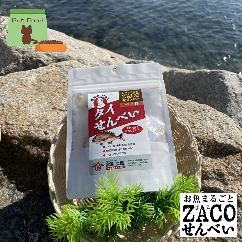 (送料無料)タイせんべい ハーフサイズ 1袋 宮原水産 広島産 内容量10g ペット 犬 猫 減塩 自然食品 あっさり 腎臓病食品