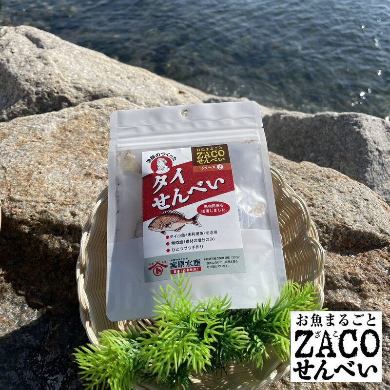 (送料無料)タイせんべい ハーフサイズ 1袋 宮原水産 広島産 内容量10g 減塩 自然食品 あっさり 腎臓病食品 無添加