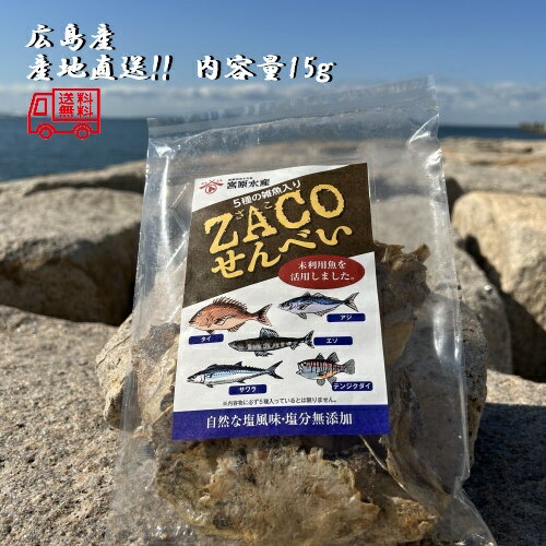 (送料無料)ZACOせんべい 5種の雑魚入り 1袋 タイ アジ エソ サワラ テンジクダイ 宮原水産 広島産 内容量15g クリックポスト 減塩 自然食品 あっ...