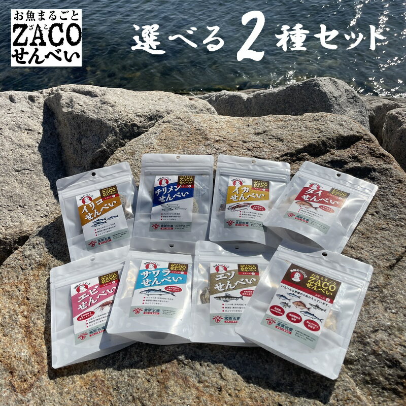 （送料無料）ZACOせんべい　ハーフサイズ　選べる2種セット　タイ　アジ　エソ　サワラ　テンジクダイ　ちりめん　イリコ　イカ　えび　宮原水産　内容量1袋10g　全8種　減塩　自然食品　あっさり　腎臓病食品　無添加