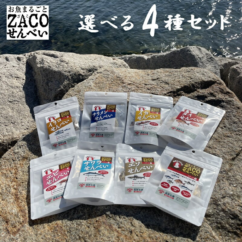 （送料無料）ZACOせんべい　ハーフサイズ　選べる4種セット　タイ　アジ　エソ　サワラ　テンジクダイ　ちりめん　イリコ　イカ　えび　宮原水産　内容量1袋10g　全8種　減塩　自然食品　あっさり　腎臓病食品　無添加