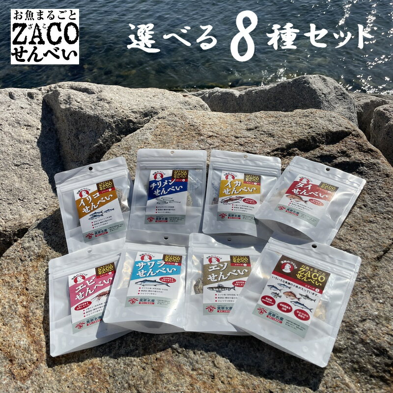 (送料無料)ZACOせんべい ハーフサイズ 選べる8種セット タイ アジ エソ サワラ テンジクダイ ちりめん イリコ イカ えび 宮原水産 内容量1袋10g ...