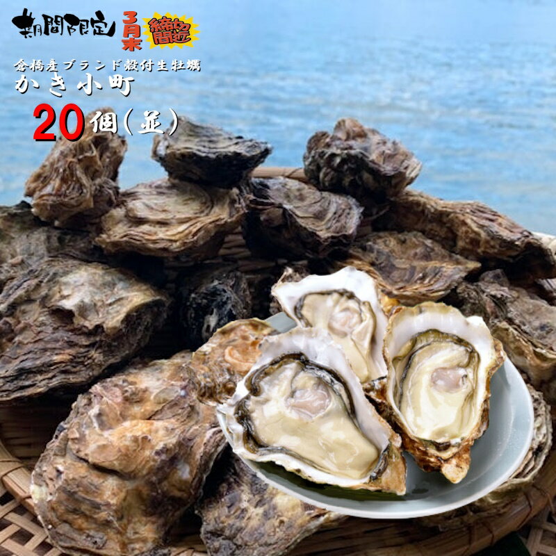 送料無料 産地直送 代引き不可 広島産 ブランド牡蠣倉橋島の殻付き牡蠣 かき小町 並サイズ 20個SET 期間限定販売 ※北海道・沖縄・離島別途見積生食用 生ガキ 新鮮 国産 海鮮 鮮魚 極上 人気 旬の味覚