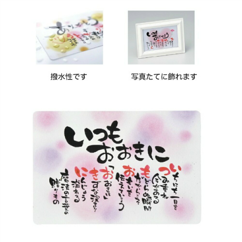 【送料無料】作家さんのほっこりポエムカード　いつもおおきに　10個セット　4565...