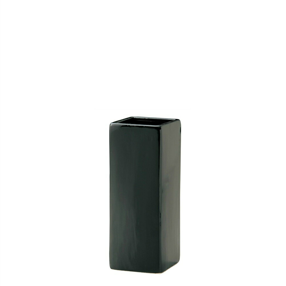 Rakuten - 【送料無料】代引き不可　BLACK&WHITE花瓶　ブラック　1本　002-C-BK〈北海道・沖縄・離島・一部地域は別途送料がかかります〉