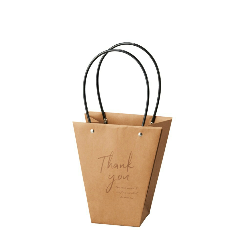 Rakuten - 【送料無料】クラフトギフトバッグM　THANK YOU　5個セット　4863-B【代引不可】〈北海道・沖縄・離島・一部地域は別途送料がかかります〉