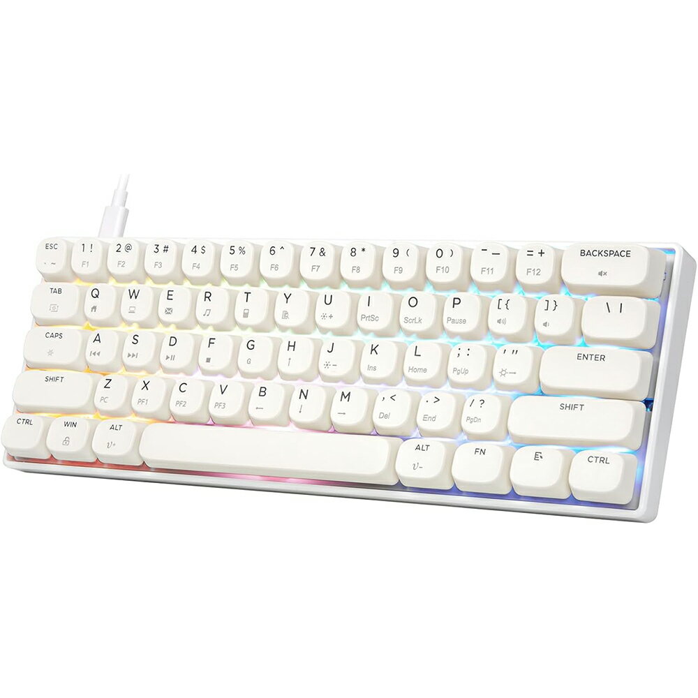 HUO JI 60% ゲーミングキーボード 有線 メカニカルキーボード 61キー テンキーレス 静音赤軸／青軸 ホットスワップ対応 RGBバックライト Nキーロールオーバー US配列 Windows/Mac/PS対応 コンパクト設計