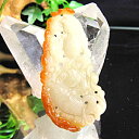 ヒスイ 翡翠 鯉の彫刻ペンダント ペンダントトップ