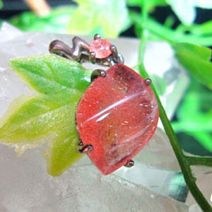 ���ȥ��٥꡼�������ġ��ڥ����ȥȥå�