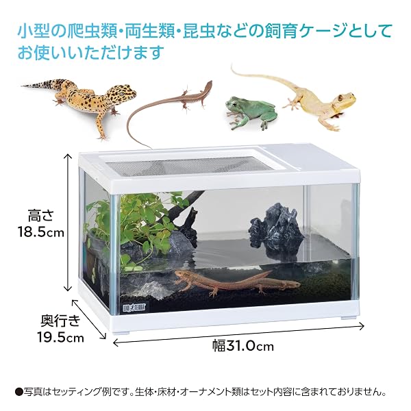 スプラウツLLC 楽天市場店のジェックス EXOTERRA レプテリア ツインビュー 300ホワイト 小型爬虫類 縦・横置き2WAY 水張り可能 ガラスケージ スライドオープンカバー ホワイトフレーム W31×D19.5×H18.5cm（横置き時） 爬虫類｜アングル3