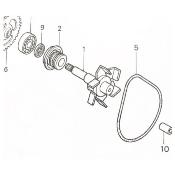 VTR1000F(SC36)　ウォーターポンプインペラー　図中(1番)　19210-MBB-000 575K19210-MBB-000