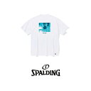 SMT23111 SPALDING Tシャツ ナッシング バット ネット | 正規品 スポルディング バスケットボール バスケ T-shirt メンズ レディー...