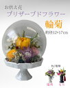 プリザーブドフラワー お供え花輪菊（PSG-2444）【ガラスドーム】【約径12×17cm】法事 供花 仏花