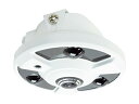【メーカー在庫限り】 塚本無線 WTW-ADR25G 548万画素AHDシリーズ 屋外軒下用 赤外線ドームカメラ