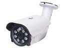 【メーカー在庫限り】 塚本無線 WTW-EHSL128YMP EX-SDI/HD-SDIマルチシリーズ 屋外仕様センサーライト防犯カメラ(3)