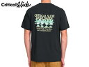 TCSSyUNeBJXCh\TCGeBzWORLDWIDE TEE CRITICAL BLACK TVc NeBJubN 19534 [T[tB Y fB[X]