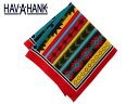 HAV-A-HANK nuAnN SOUTHWEST BANDANA MODERN AZTEC o_i AXeJ 12114 20801 21222