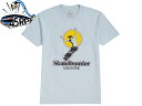 45RPM Vintage 45RPMビンテージ Skateboarder Magazine T-shirts Light Blue スケートボードマガジン スケートパーク Tシャツ ライトブルー 21055