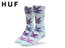 HUF nt GREEN BUDDY SOCKS SKY O[ofB \bNX XJC 20942 [XP{[ XP[g{[h Y fB[X]