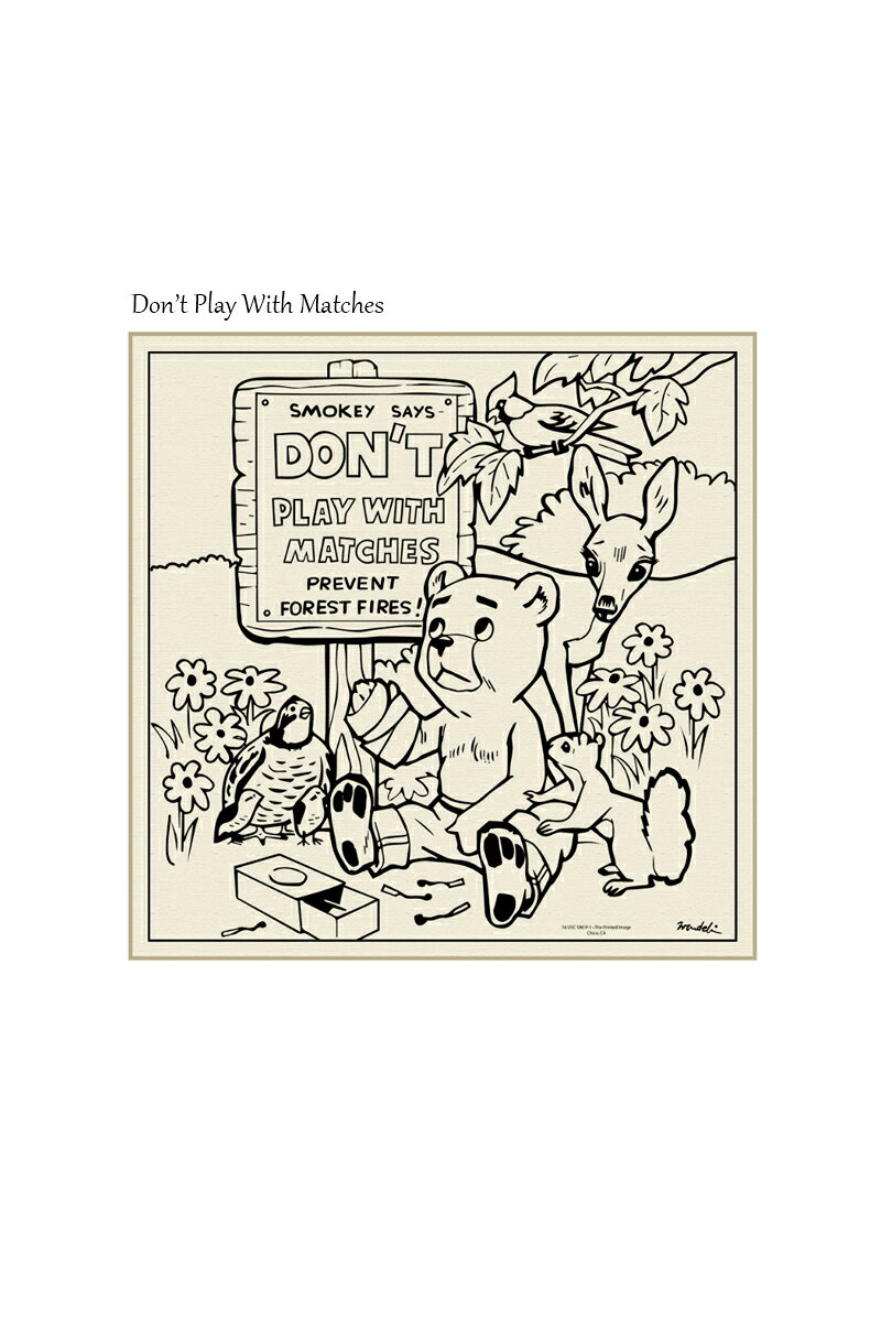 THE PRINTED IMAGE プリントイメージ Don’t Play With Matches BANDANA 熊 動物 バ...