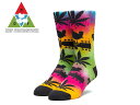 HUF~WOODSTOCKynt~EbhXgbNzPLANTLIFE SOCKS MULTI vgCt \bNX }` 18027 [XP{[ XP[g{[h Y fB[X]