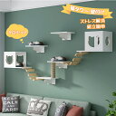 【最大2000円OFF】キャットウォーク 壁掛け式猫用ステップ 壁面 棚 DIY 天然木 壁掛け猫クライマーセット 猫用 キャットタワー 猫家具 キャットステッ...